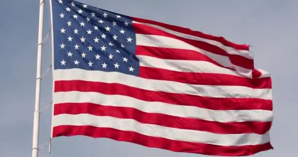 미국 국기 — 비디오