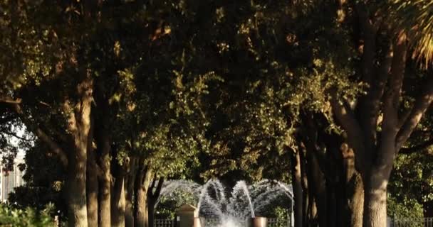 Charleston Güney Carolina 'daki rıhtım parkı — Stok video
