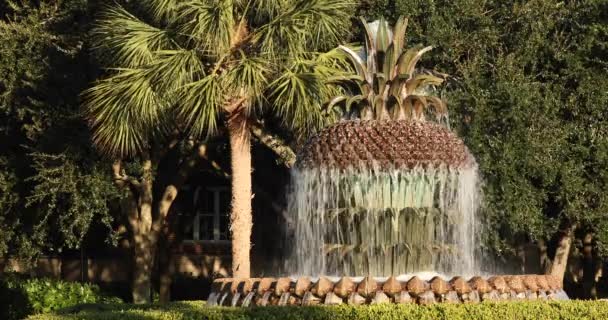 Charleston South Carolina pineapple fountain — Stock Video