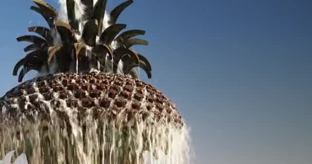 Charleston South Carolina pineapple fountain — Stock Video