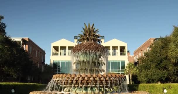 Charleston South Carolina pineapple fountain — Stock Video