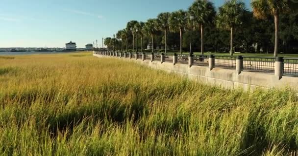 Charleston Güney Carolina 'daki rıhtım parkı — Stok video