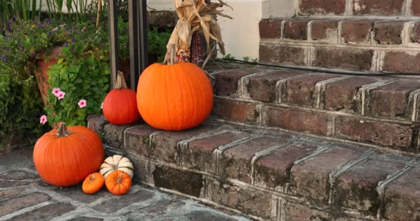 Zucca e zucca all'ingresso anteriore di una casa in autunno — Video Stock