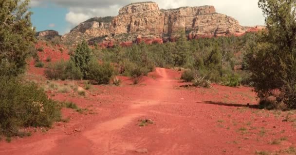 Red rock μονοπάτια πεζοπορίας σε Sedona Αριζόνα ΗΠΑ — Αρχείο Βίντεο