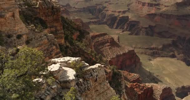Scenisk synvinkel på South Rim i Grand Canyon National Park — Stockvideo