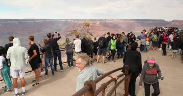 Folk samlas på en naturskön utsiktspunkt i Grand Canyon National Park — Stockvideo