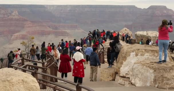 La gente se reúne en un mirador panorámico en el Parque Nacional del Gran Cañón — Vídeos de Stock