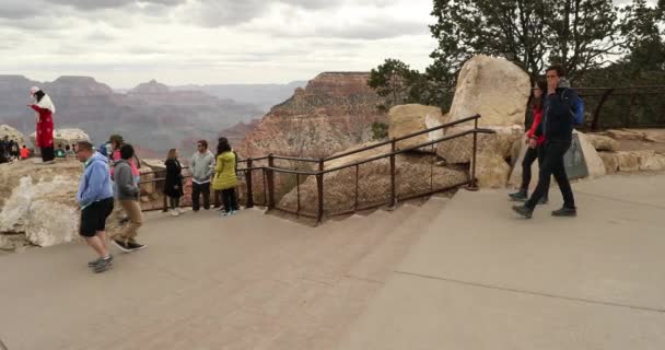 La gente se reúne en un mirador panorámico en el Parque Nacional del Gran Cañón — Vídeo de stock