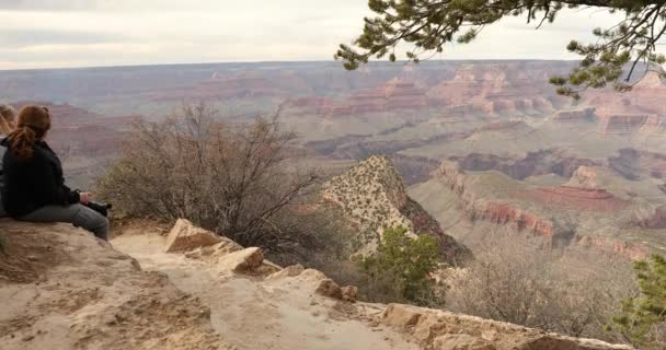 La gente se reúne en un mirador panorámico en el Parque Nacional del Gran Cañón — Vídeos de Stock