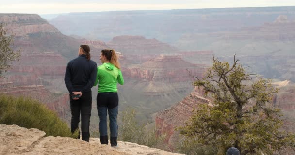 Les gens se rassemblent sur un point de vue pittoresque dans le parc national du Grand Canyon — Video