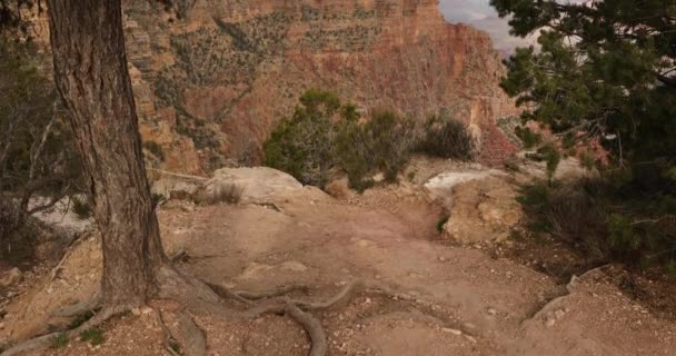 Näkökulma Grand Canyonin kansallispuistoon — kuvapankkivideo