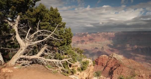 Scenic viewpoint on the South Rim in Grand Canyon National Park — Stock Video