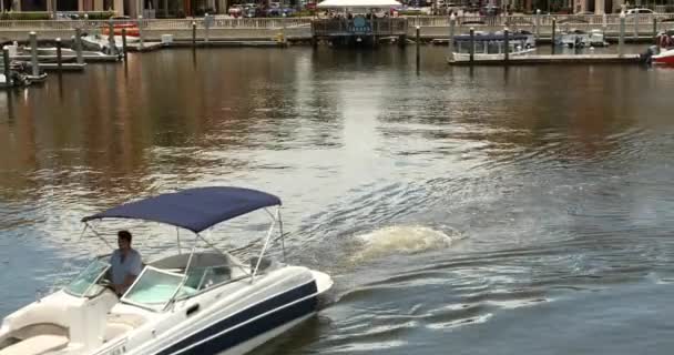 Downtown área comercial e marina Nápoles Florida EUA — Vídeo de Stock