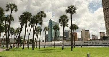 Tampa Florida USA Şehir merkezi Sabah ufuk çizgisi