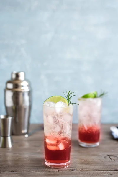 Cocktail Sloe Gin Fizz Bebida Álcool Frio Rosa Com Gelo — Fotografia de Stock