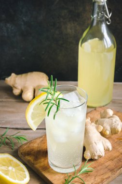 Ale veya Kombucha bardaklarda - ev yapımı limon zencefil ve organik probiyotik içki, kopya alanı zencefil.