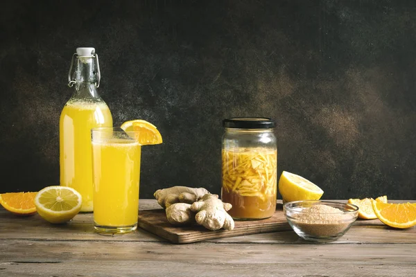 Bug - ev yapımı probiyotik Soda içecek fermente, meyve ve zencefil organik içki zencefil.