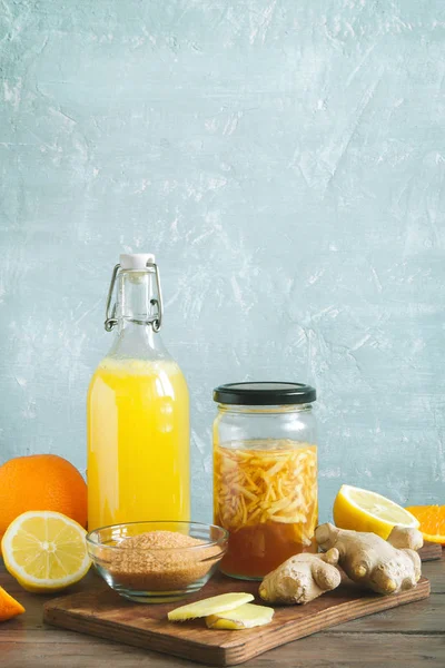 Bug - ev yapımı fermente probiyotik Soda, meyve ve zencefil organik içki zencefil.