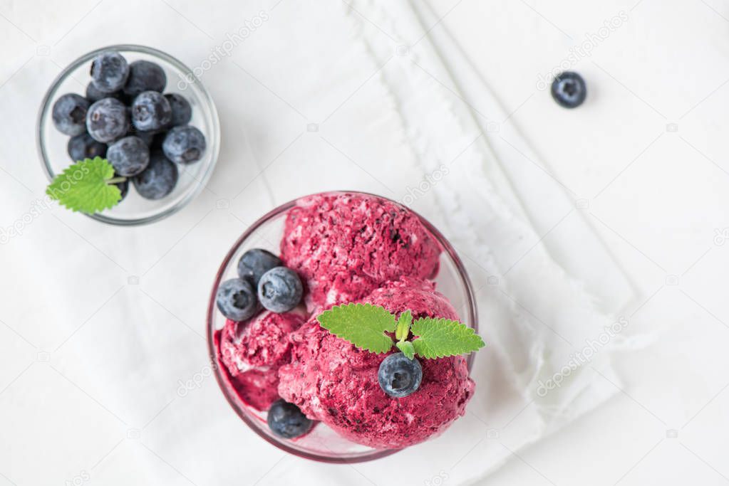 Healthy homemade blueberry ice cream (icecream, nicecream) topped with organic blueberries and mint - healthy vegetarian diet vegan raw fruit organic delicious dessert, dairy free, gluten free