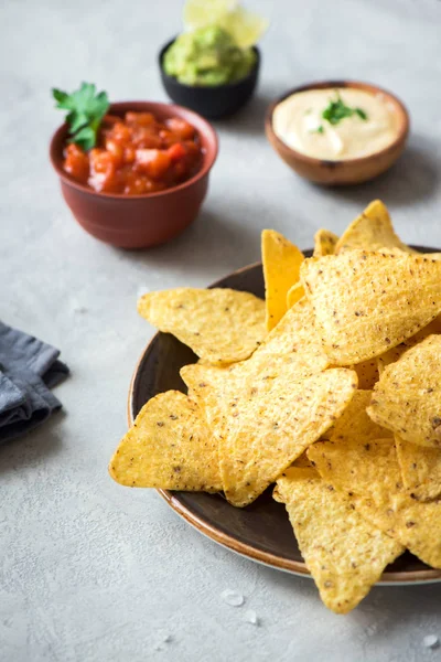 Cips cips ve çeşitli DIP soslar. Tortilla Mısır cips cips salsa, eritilmiş peynir ve Guakamole, Meksika aperatifler.