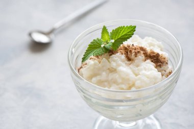 Tarçın ile sütlaç. Sağlıklı geleneksel ev yapımı tatlı veya kahvaltı - Sütlaç, kopya alanı.