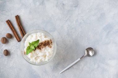 Tarçın ve Hindistan cevizi ile sütlaç. Sağlıklı geleneksel ev yapımı tatlı veya kahvaltı - Sütlaç, kopya alanı.