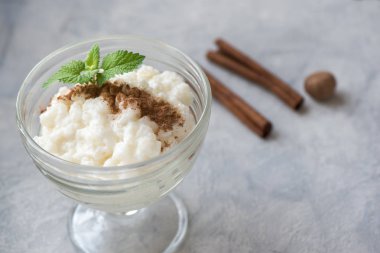 Tarçın ve Hindistan cevizi ile sütlaç. Sağlıklı geleneksel ev yapımı tatlı veya kahvaltı - Sütlaç, kopya alanı.