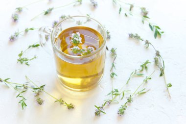 Grup beyaz zemin üzerine taze kekik ile sağlıklı bitki çayı. Kekik çay, bitkisel içki.