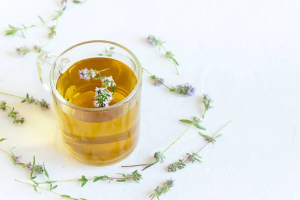 Healthy herbal tea with bunch of fresh wild thyme on white background. Cup of thyme tea, herbal drink.
