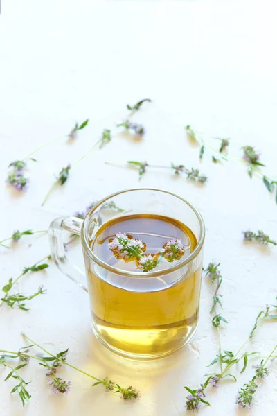 Healthy herbal tea with bunch of fresh wild thyme on white background. Cup of thyme tea, herbal drink.