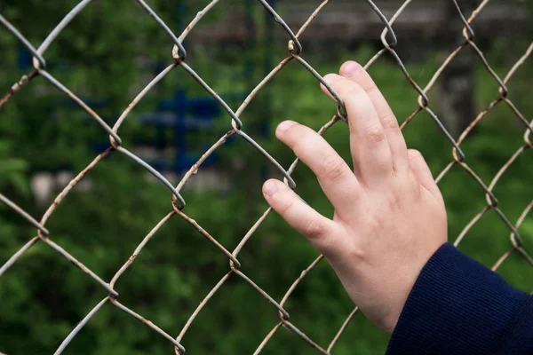 Hand Metal Mesh Cage Child Hands Steel Mesh Fence — Stock Photo, Image