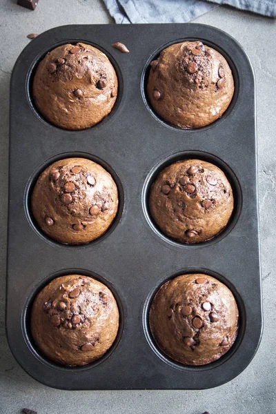 Double Chocolate Muffins with Chocolate Drops in bakeware. Homemade chocolate pastry for breakfast or dessert.