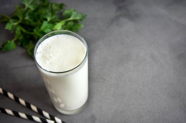 Taze, sade ev yapımı yoğurt (yoğurt, yoğurt, kefir, ayran, lassi) ve gri arka planda bitkiler, kopyalama alanı. Probiyotik soğuk mayalanmış süt içeceği..