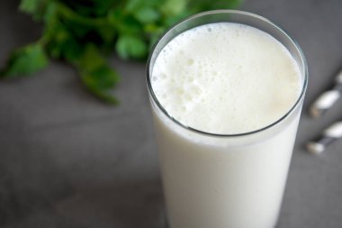 Taze, sade ev yapımı yoğurt (yoğurt, yoğurt, kefir, ayran, lassi) ve gri arka planda bitkiler, kopyalama alanı. Probiyotik soğuk mayalanmış süt içeceği..