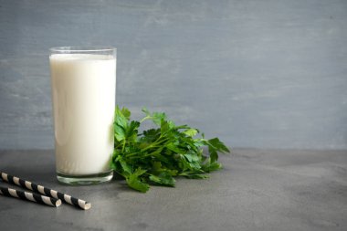 Taze, sade ev yapımı yoğurt (yoğurt, yoğurt, kefir, ayran, lassi) ve gri arka planda bitkiler, kopyalama alanı. Probiyotik soğuk mayalanmış süt içeceği..