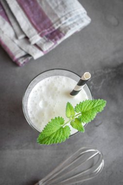 Taze, sade ev yapımı yoğurt (yoğurt, yoğurt, kefir, ayran, lassi) ve gri arka planda bitkiler, kopyalama alanı. Probiyotik soğuk mayalanmış süt içeceği..