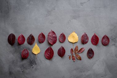 Sonbahar en az kompozisyon. Desen yapılan kırmızı ve sarı sonbahar satırda koyu arka plan üzerinde sonbahar konsepti bırakır. Düz yatıyordu, en iyi görünümü.