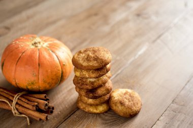 Kabak Snickerdoodle çerezleri. Mevsim sonbahar ev yapımı kurabiye, üstten görünüm alanı kopyalayın. Geleneksel çöl Snickerdoodles sonbahar için.