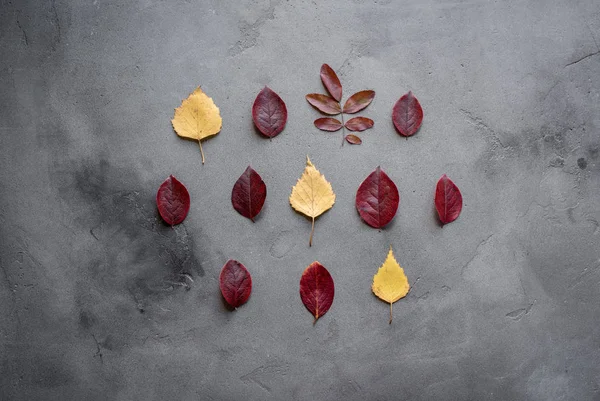 Composición Mínima Otoñal Patrón Hecho Hojas Otoño Rojas Amarillas Sobre — Foto de Stock