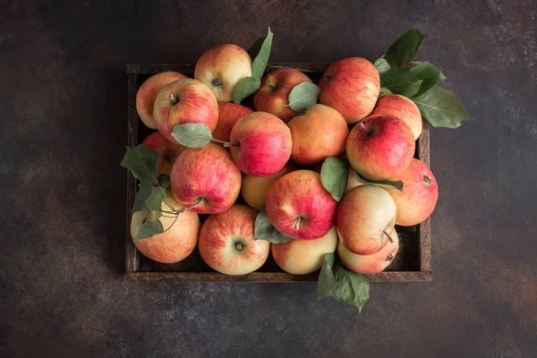 Rode Appels Houten Doos Biologische Rode Appels Met Bladeren Rustieke — Stockfoto