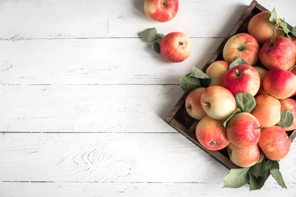 Rode Appels Houten Doos Biologische Rode Appels Met Bladeren Witte — Stockfoto