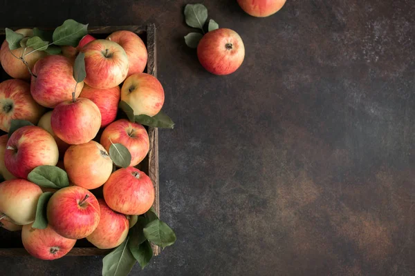 Rode Appels Houten Doos Biologische Rode Appels Met Bladeren Rustieke — Stockfoto