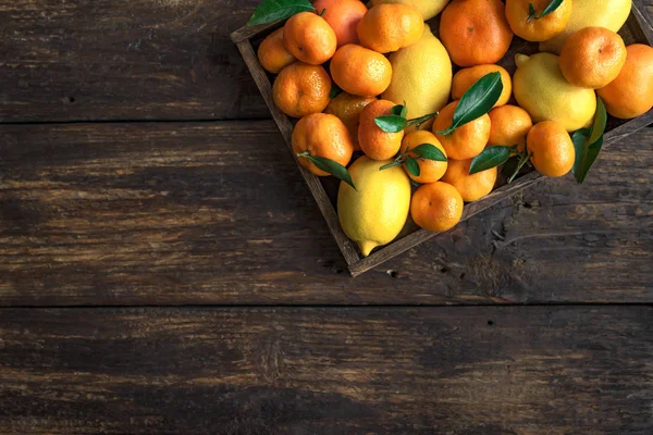 Různé Citrusových Plodů Poli Citrony Mandarinky Pomeranče Listy Čerstvé Bio — Stock fotografie