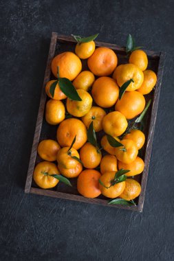 Mandalina (portakal, clementines, narenciye) siyah arka plan, kopya alanı kutusunda yeşil yaprakları ile.