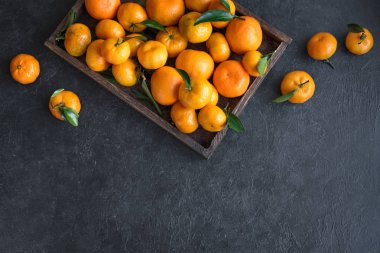 Mandalina (portakal, clementines, narenciye) siyah arka plan, kopya alanı kutusunda yeşil yaprakları ile.