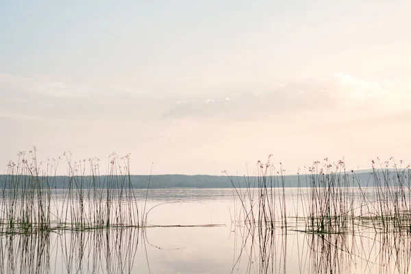 Spokoju rano nad jeziorem — Zdjęcie stockowe