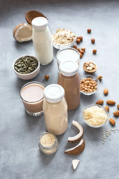 Vegan plant gebaseerd melk — Stockfoto
