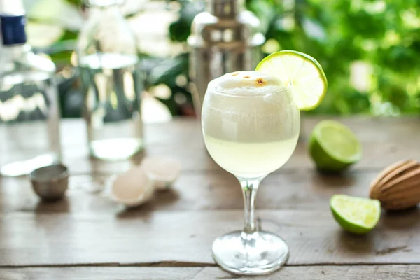 Pisco Sour Cocktail — Stock Photo, Image