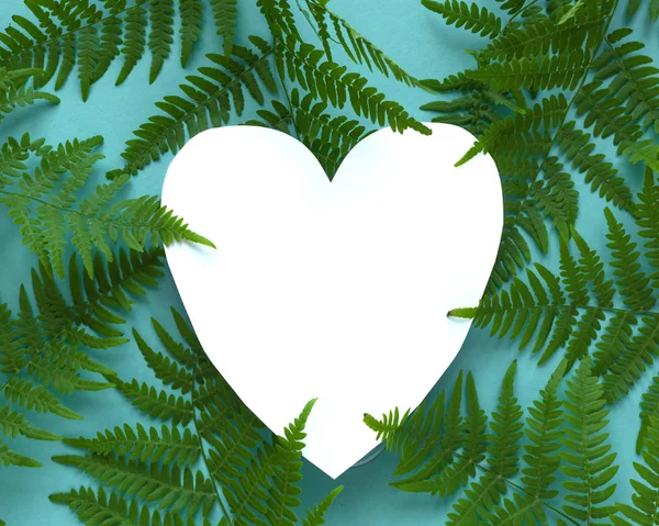 Листья и сердце папоротника — стоковое фото
