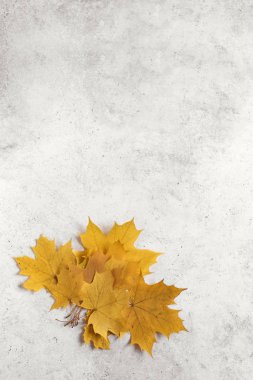 Sarı yapraklar düz yatıyordu